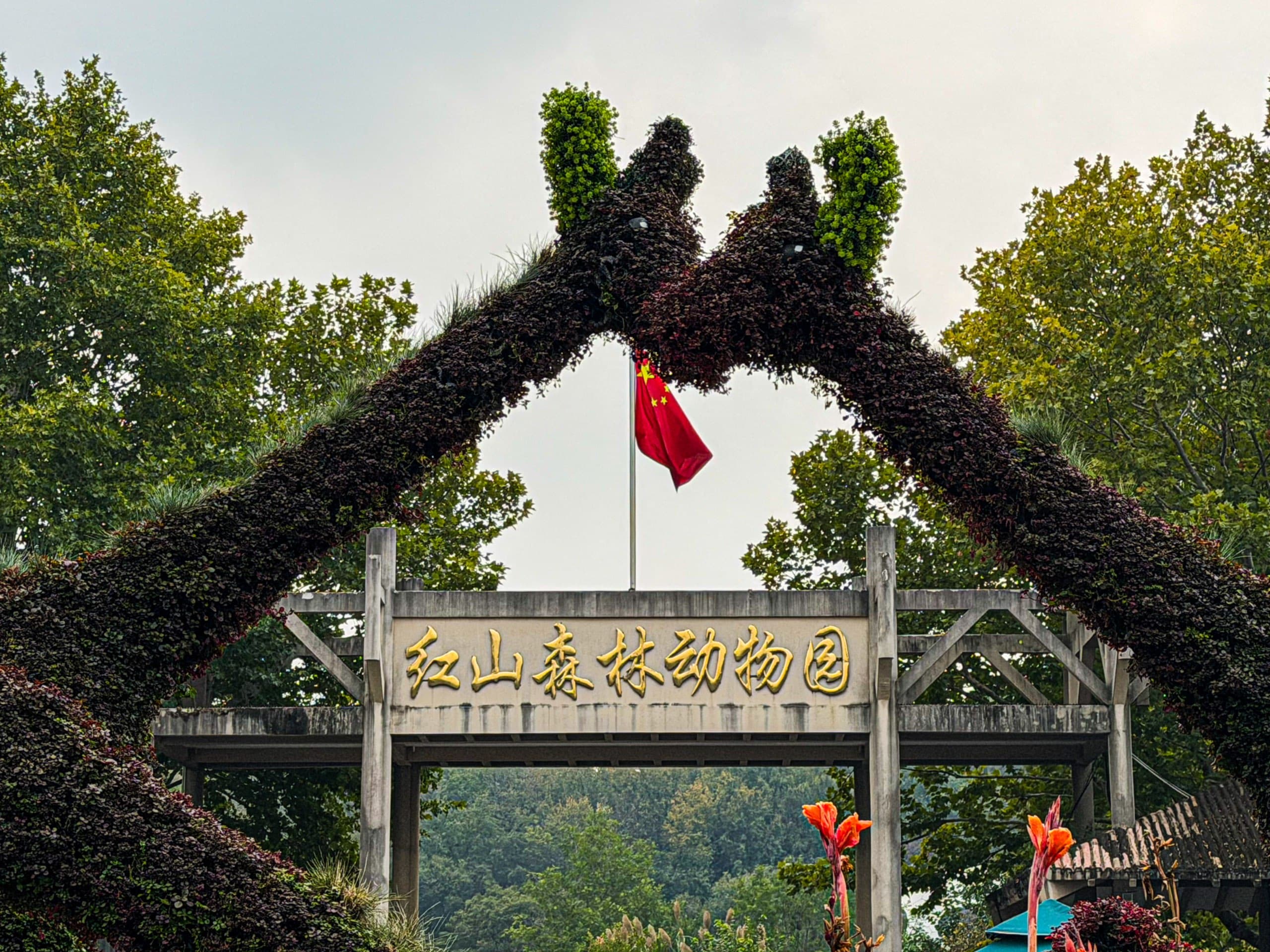 南京相册第 26 张照片