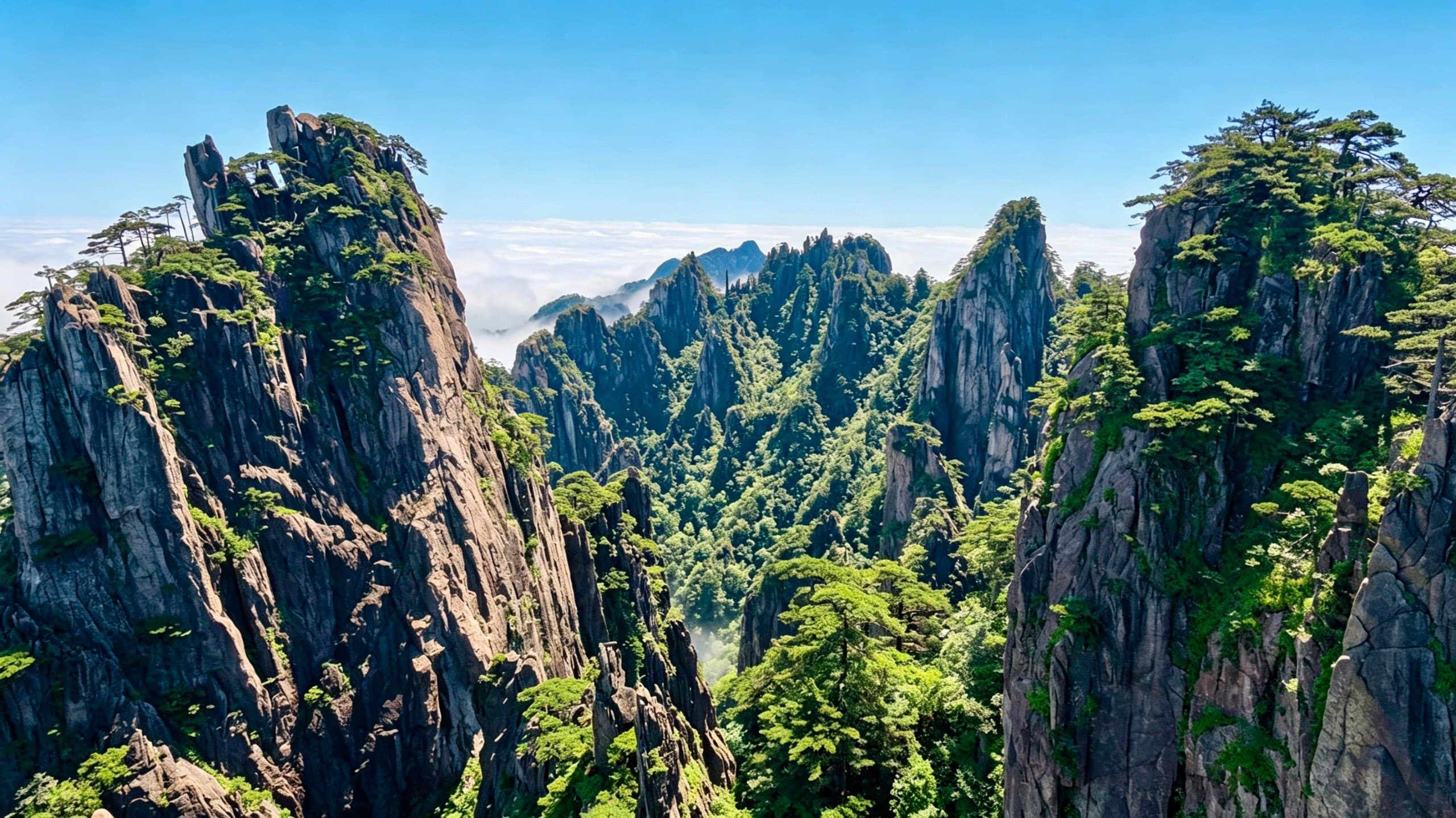 黄山相册第 5 张照片