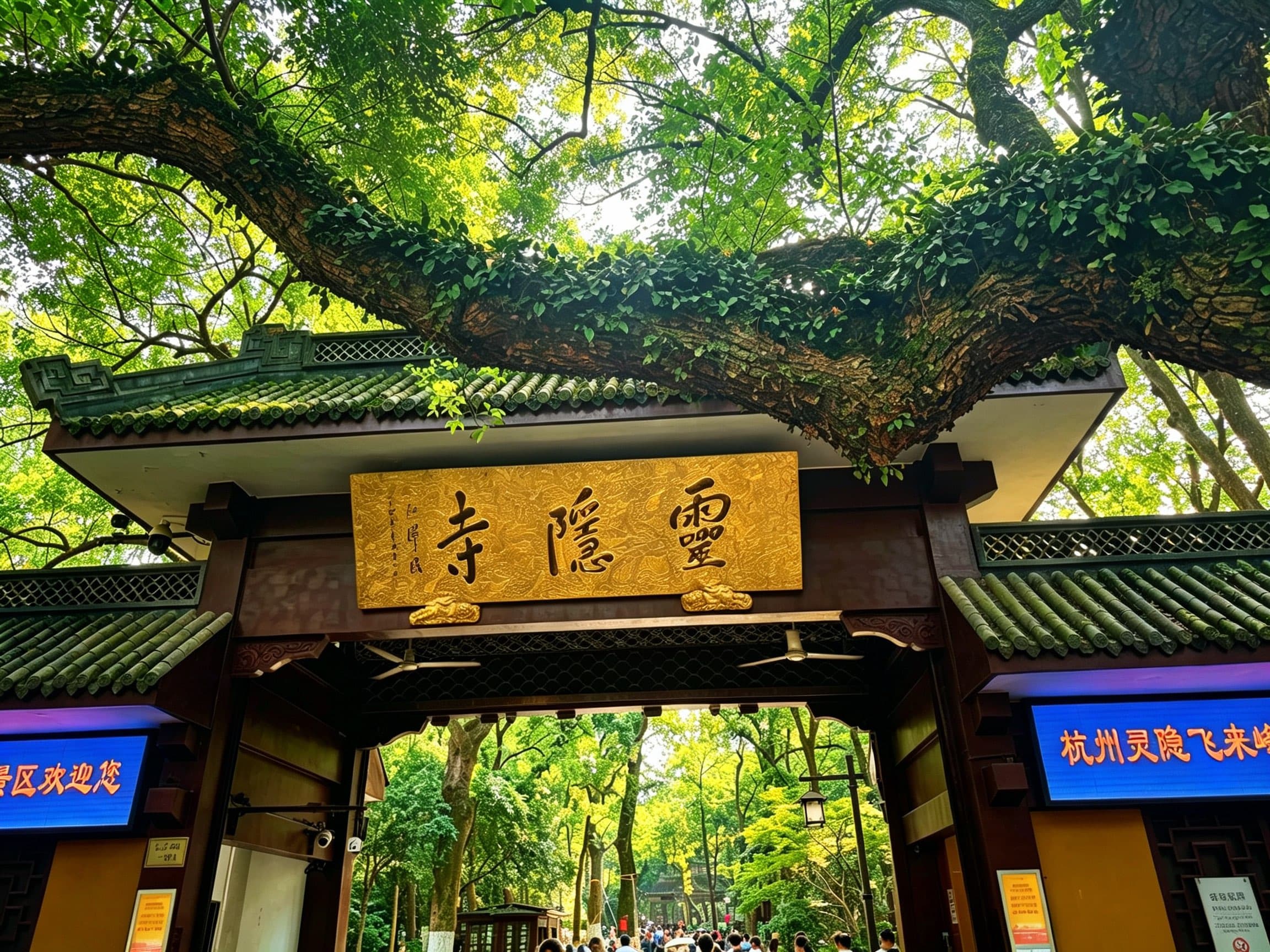 杭州相册第 4 张照片