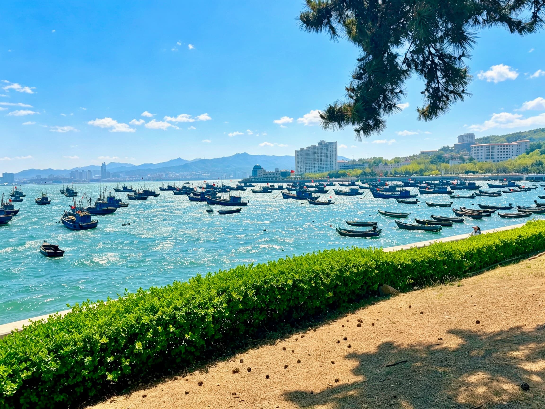 威海相册第 3 张照片